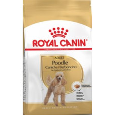 Royal Canin Dog Breed Poodle Adulto